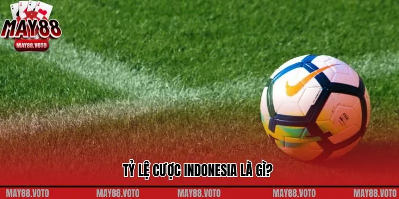 Tỷ lệ cược Indonesia là gì?